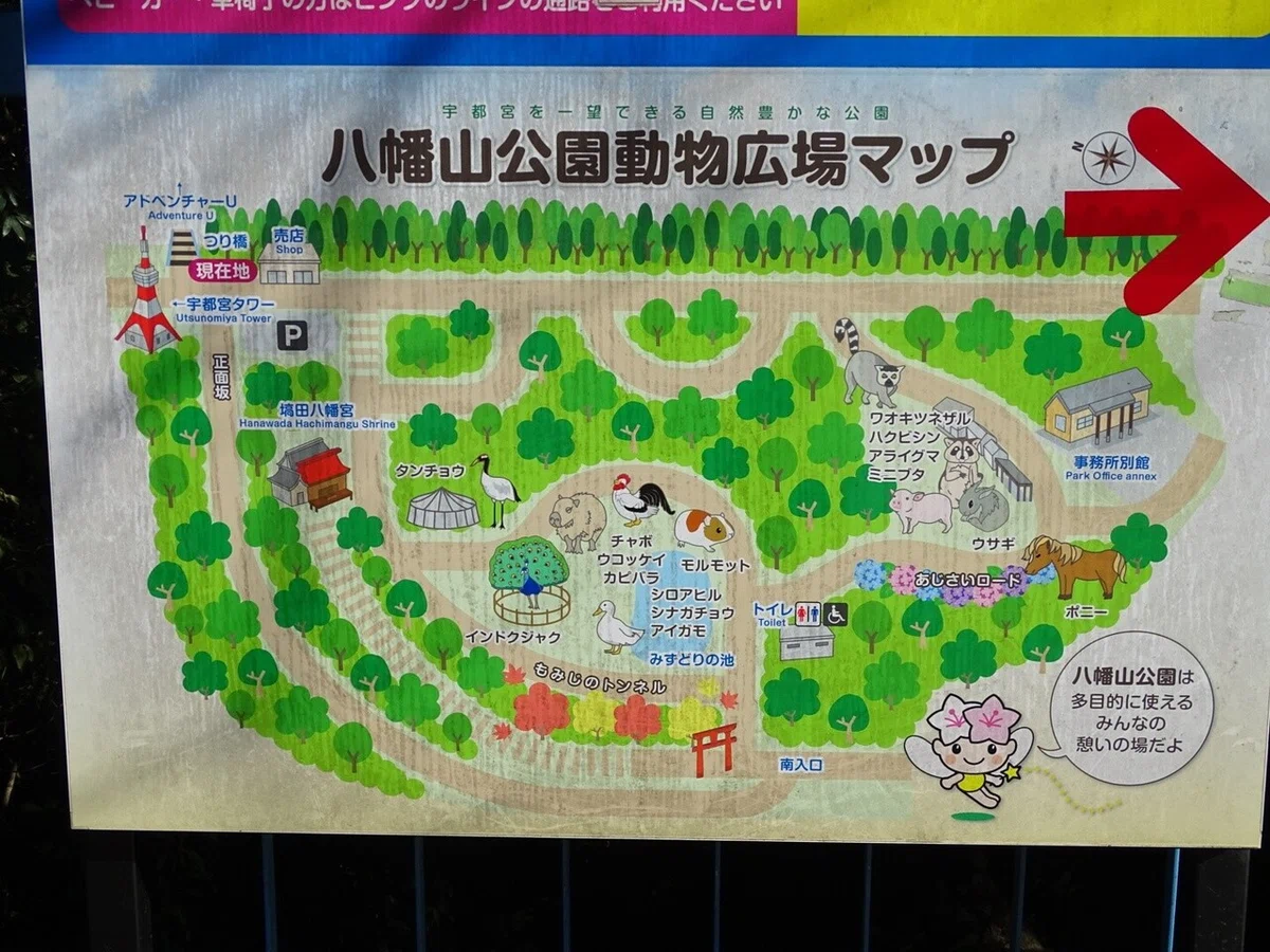 画像10