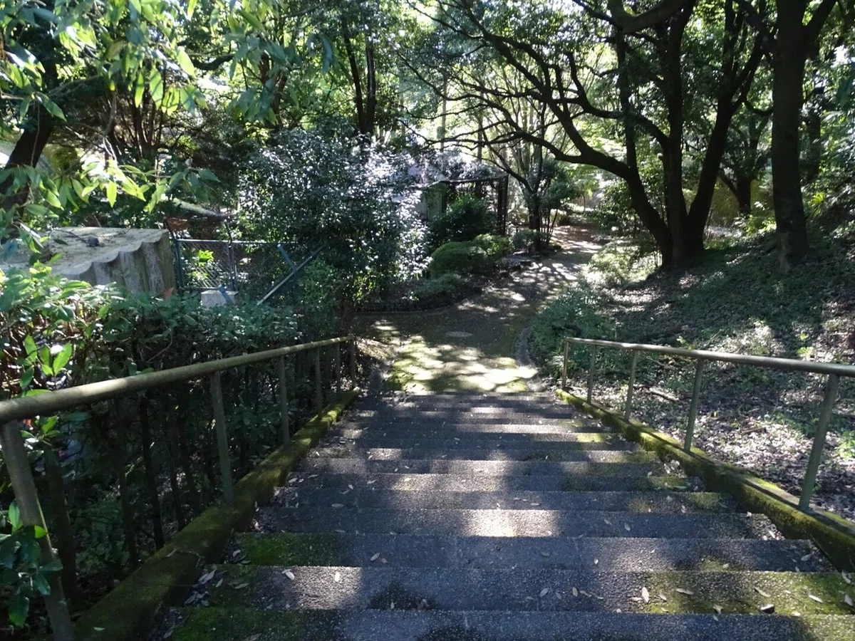 画像11