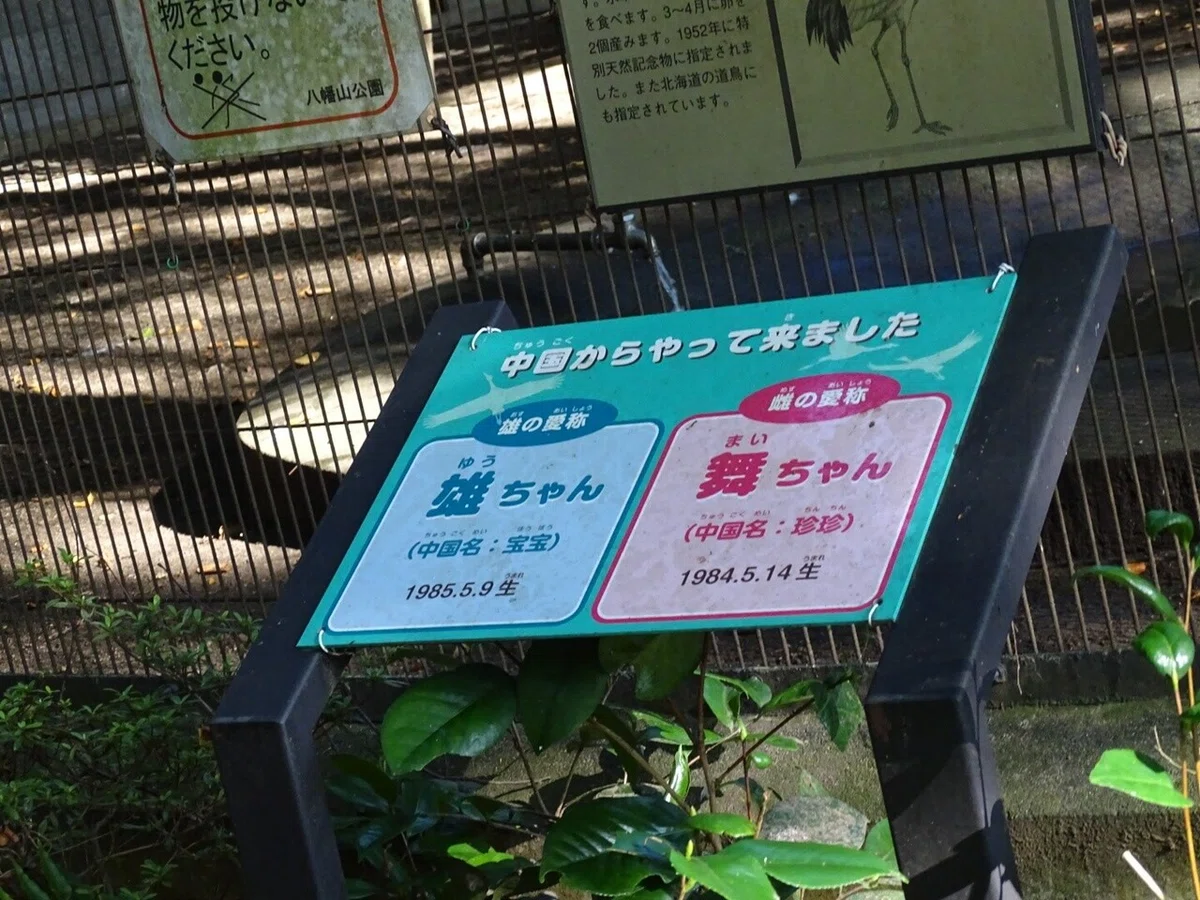 画像14