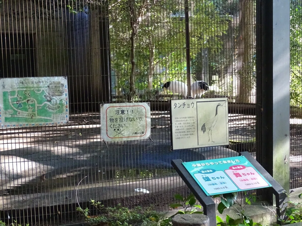 画像13