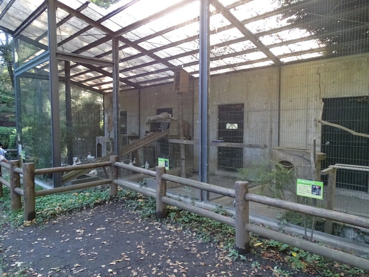 画像16
