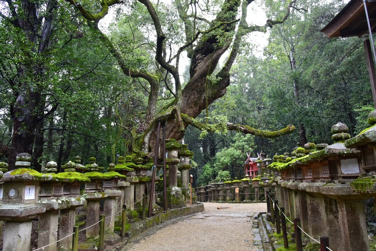画像7