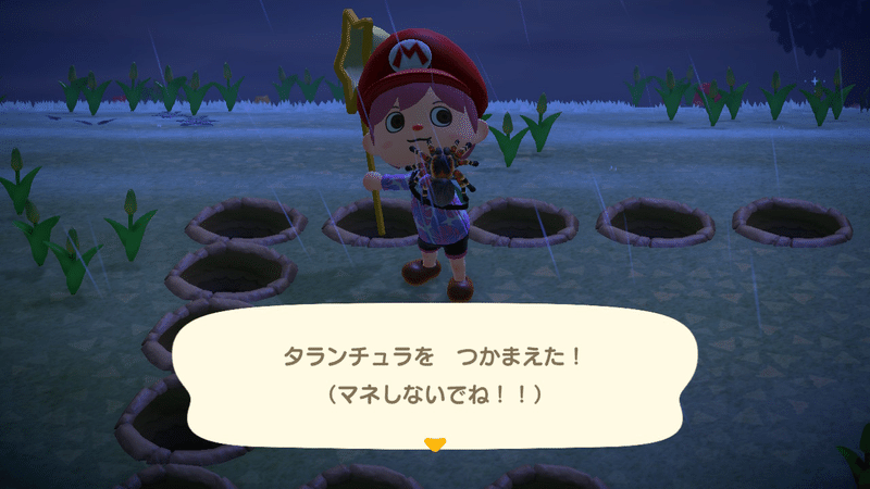 あつ森タランチュラ島 Tomocheeee 絵描きびと Note あつ森タランチュラ島 Tomocheeee 絵描きびと Note