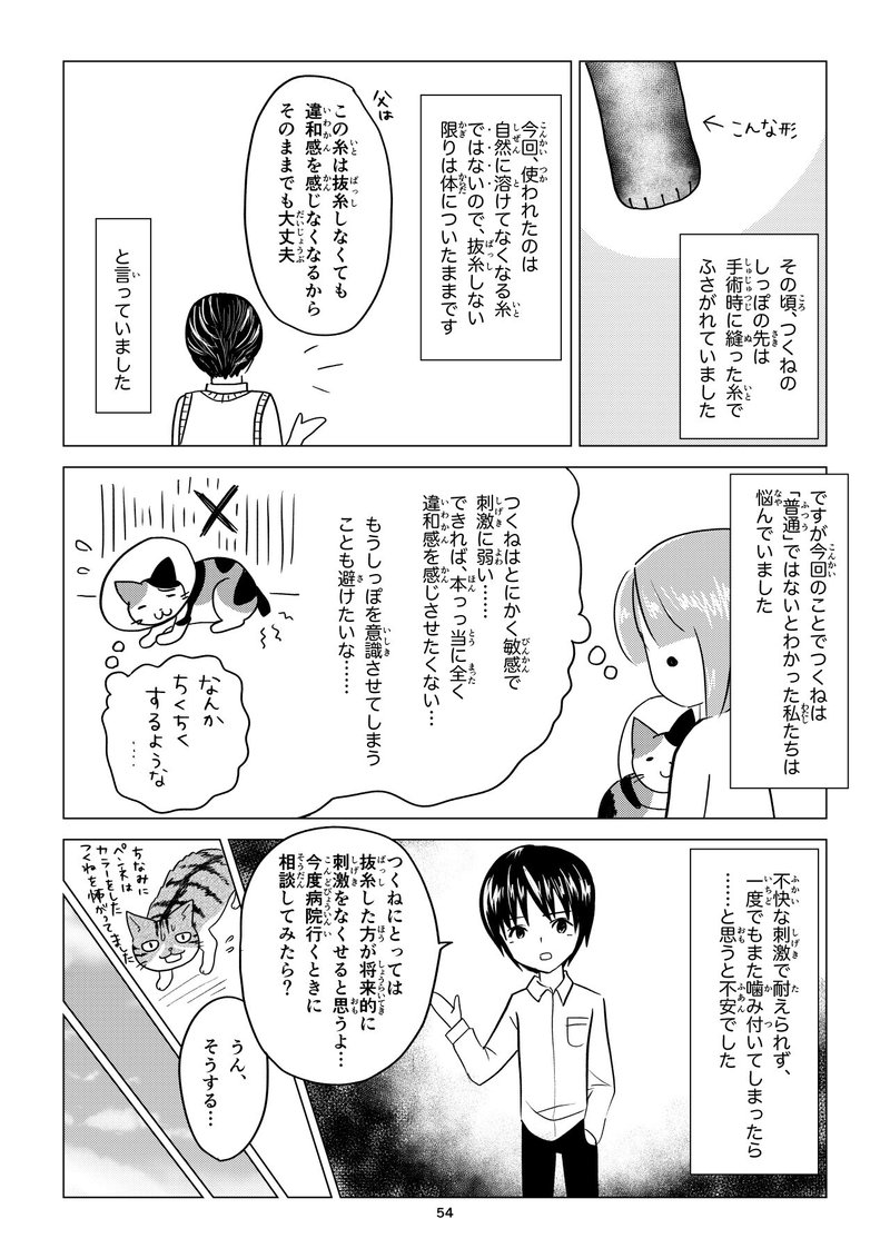 しっぽを切ったつくねちゃん Miyarn Note