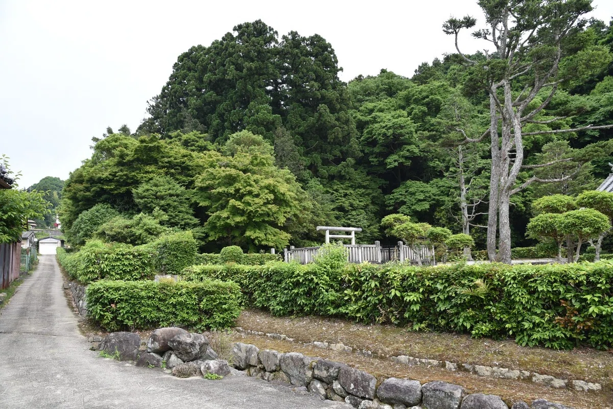 画像15