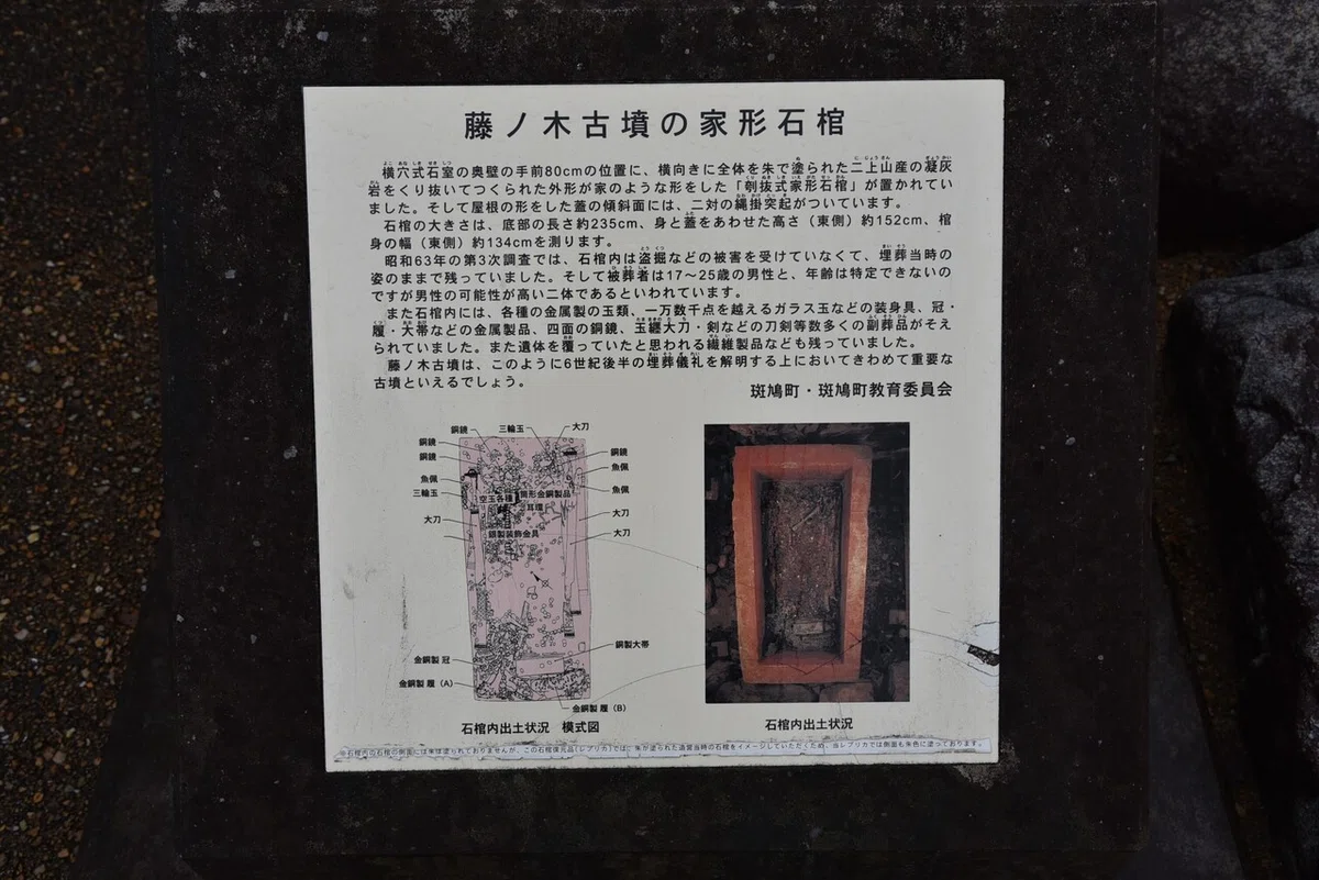 画像15