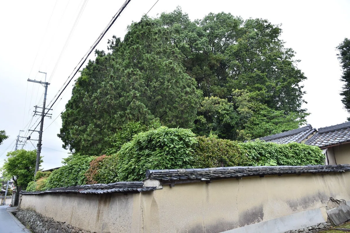 画像17