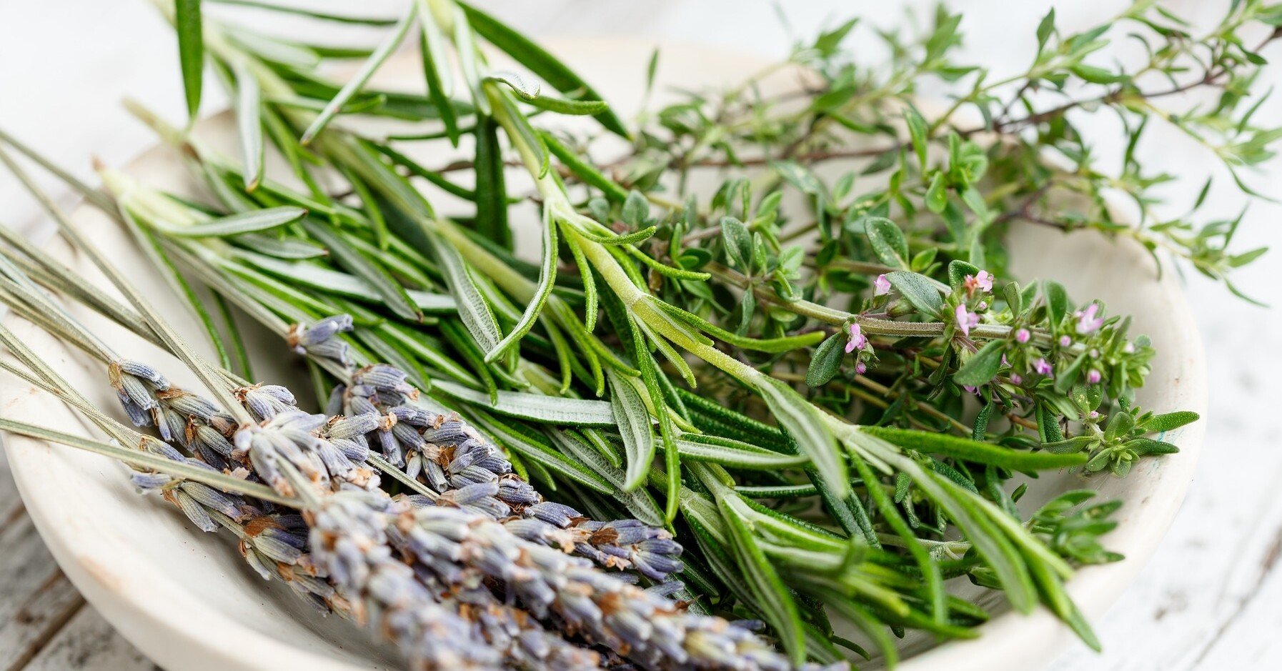 deddbd6278eaf1b19290703fda3639