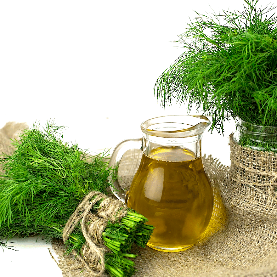 Lifestyle｜Close to Nature〈01.ハーブと暮らす〉｜LAPUAN KANKURIT