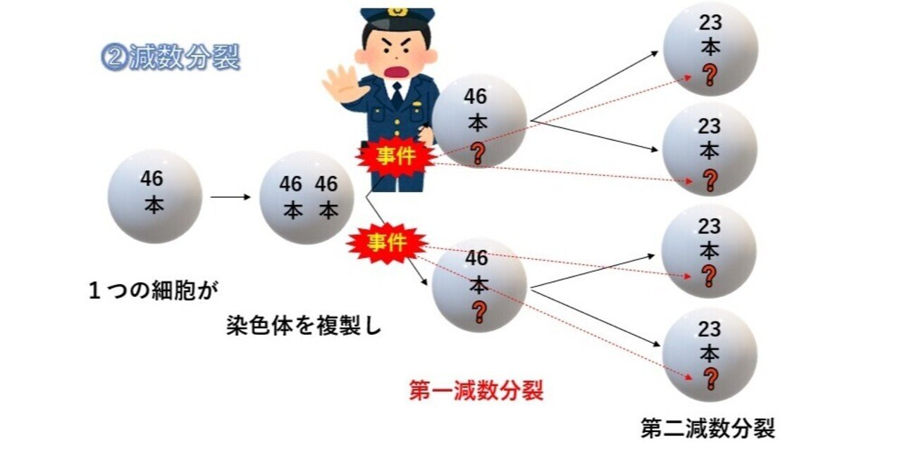 染色体の定義