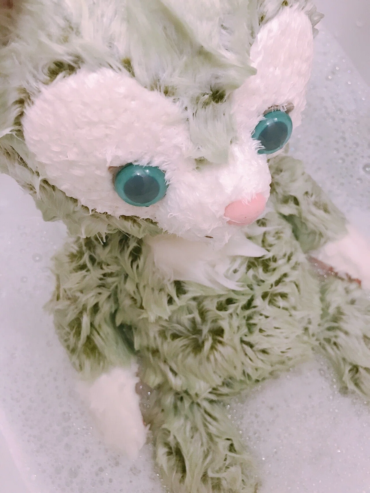 ぬいを洗ってみた ダッフィーとジェラトーニとダッフィーのバッグ Yuri Note ぬいを洗ってみた ダッフィーとジェラトーニとダッフィーのバッグ Yuri Note
