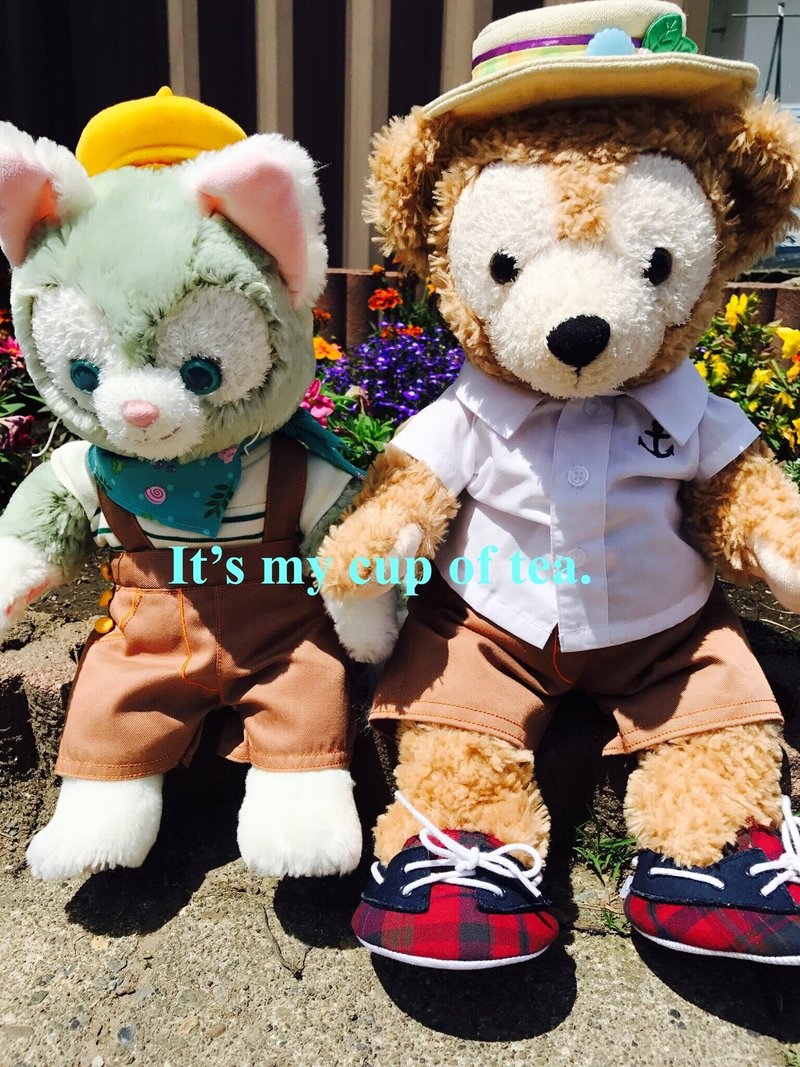 ぬいを洗ってみた ダッフィーとジェラトーニとダッフィーのバッグ Yuri Note ぬいを洗ってみた ダッフィーとジェラトーニとダッフィーのバッグ Yuri Note
