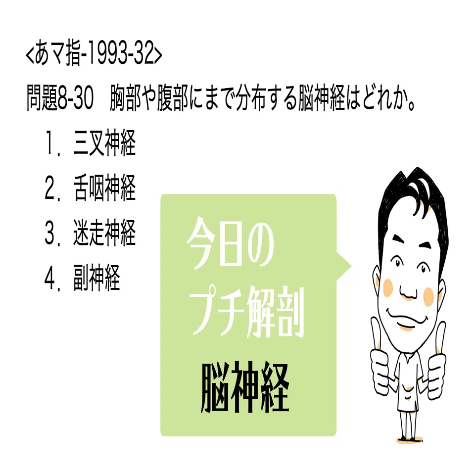 今日のプチ解剖：胸部や腹部にまで分布する脳神経は？｜かずひろ先生