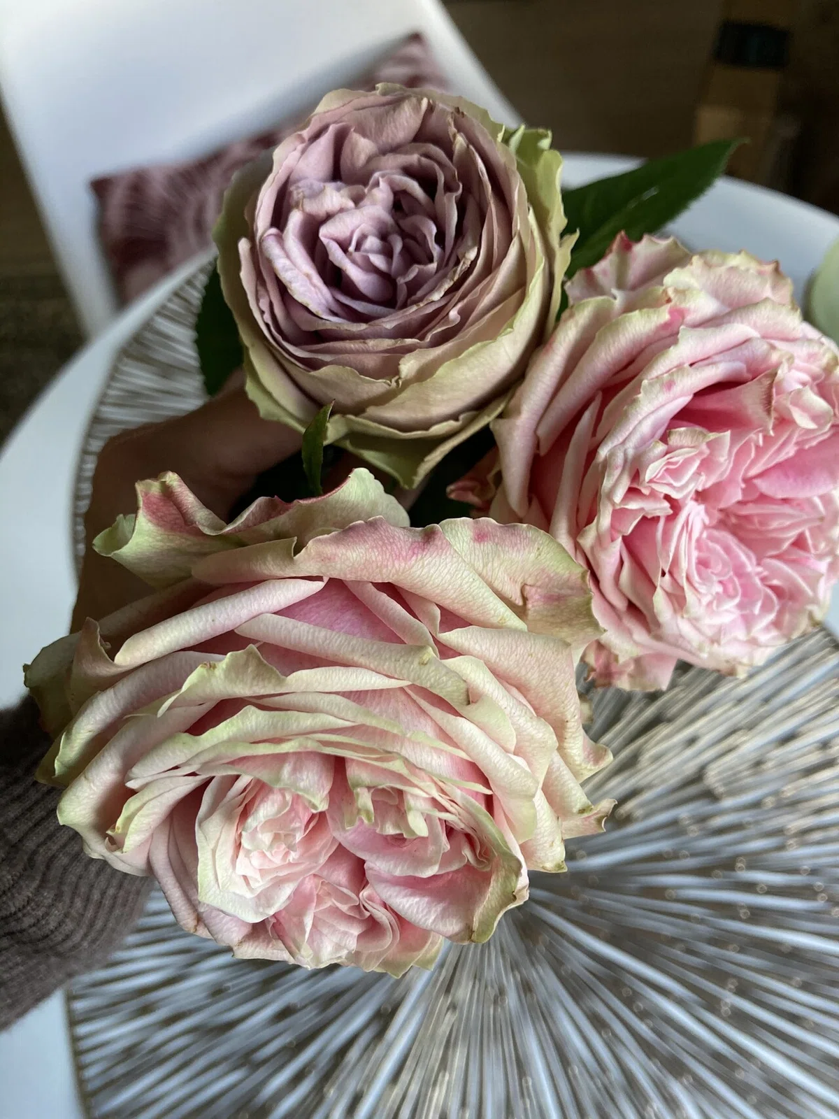 Love beautiful things!!美しいものが好き〜鈴野農園の薔薇〜表現者 