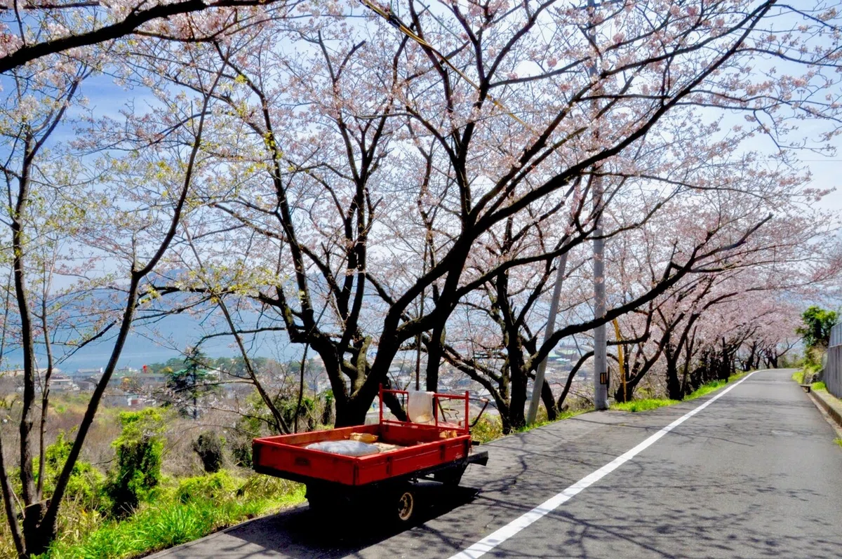 画像2