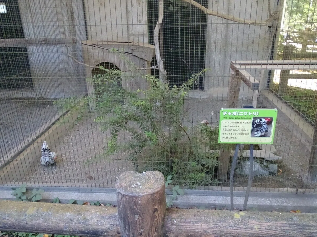 画像22