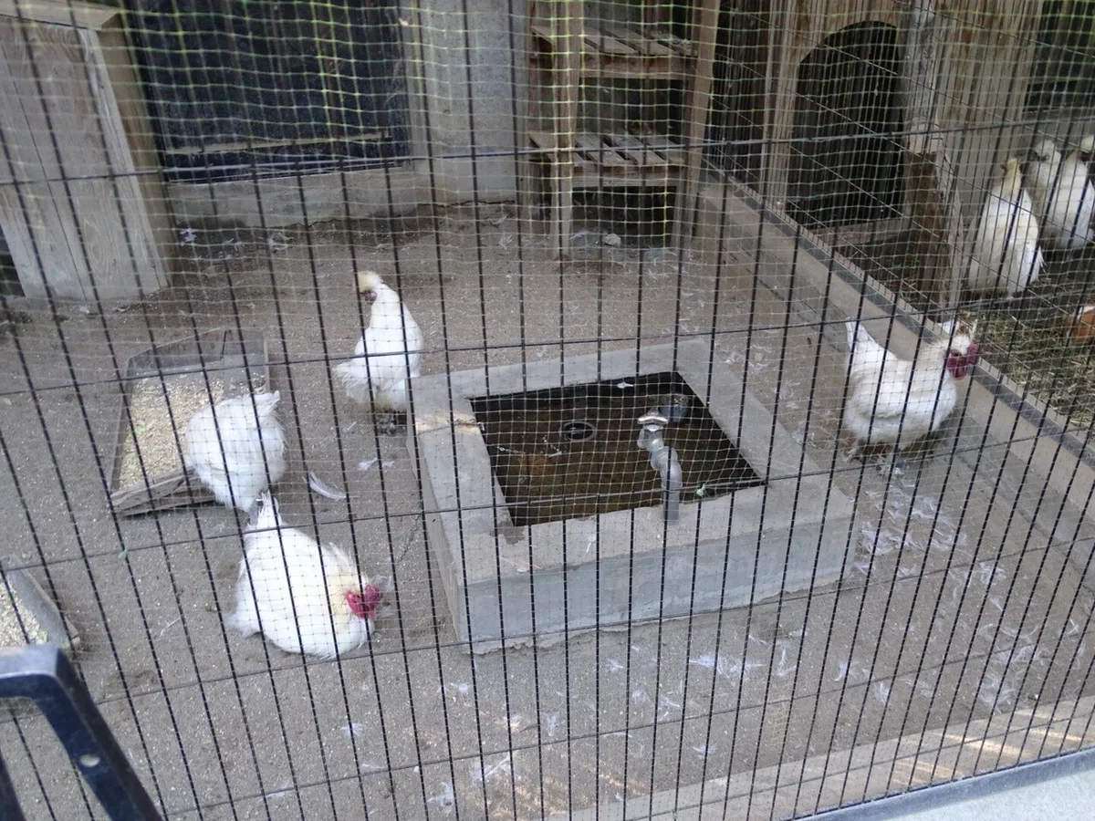 画像20