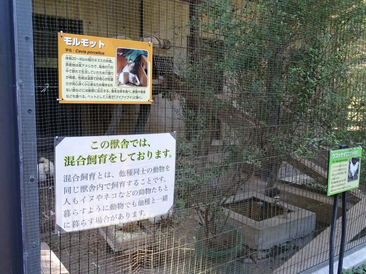 画像18