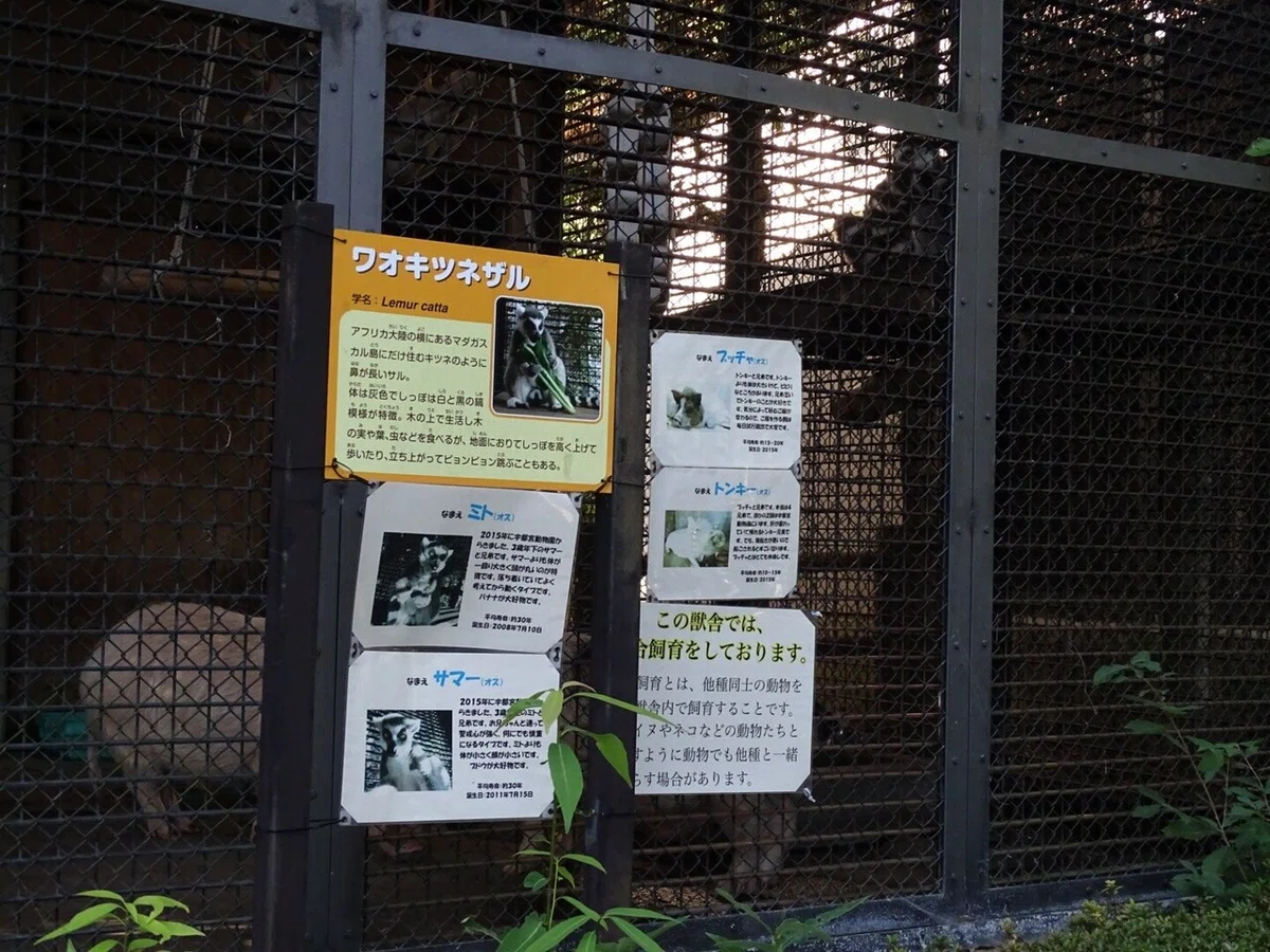 画像28