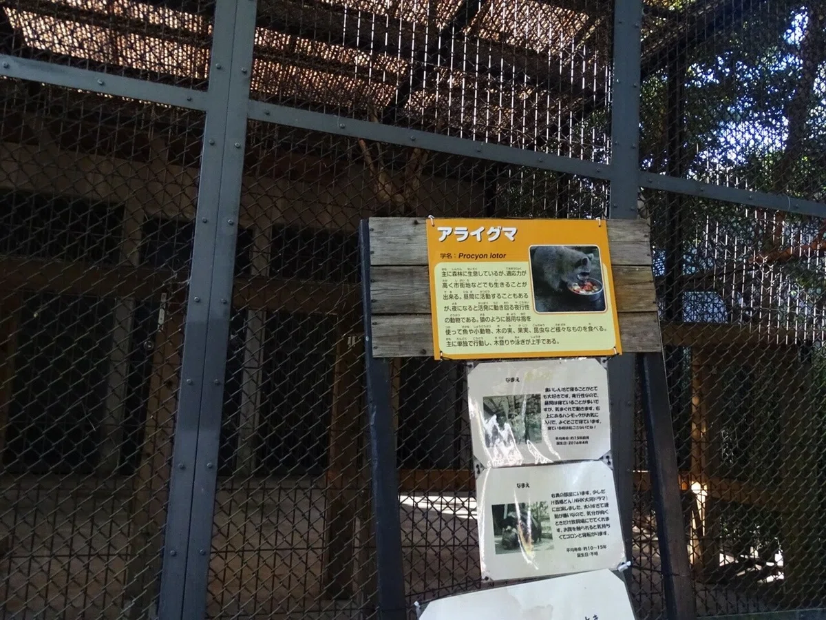 画像31