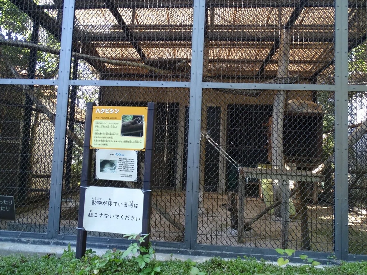 画像30