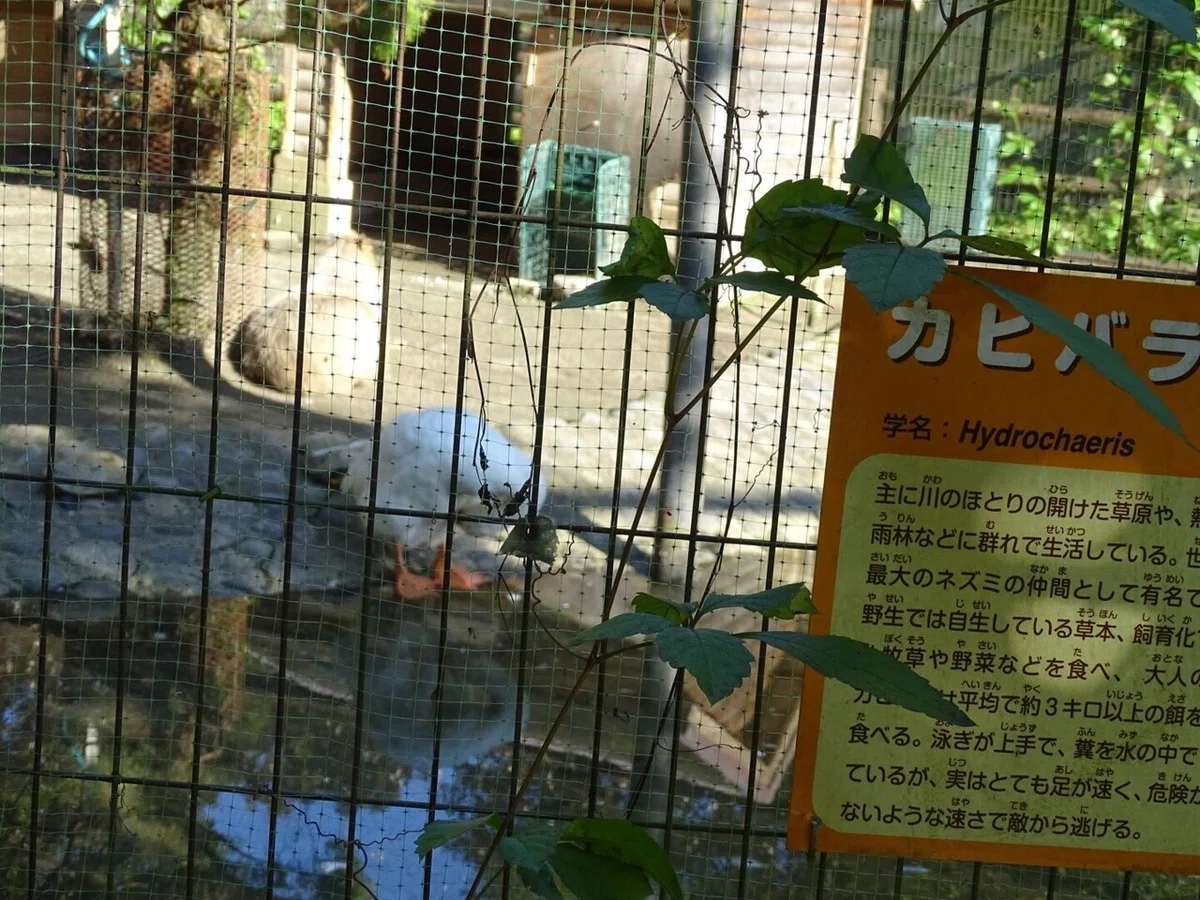画像34