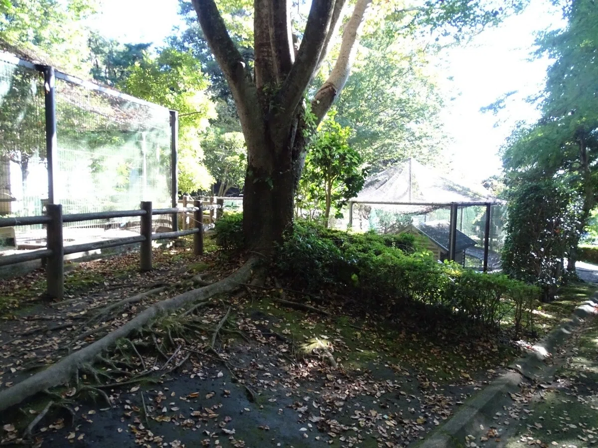 画像37