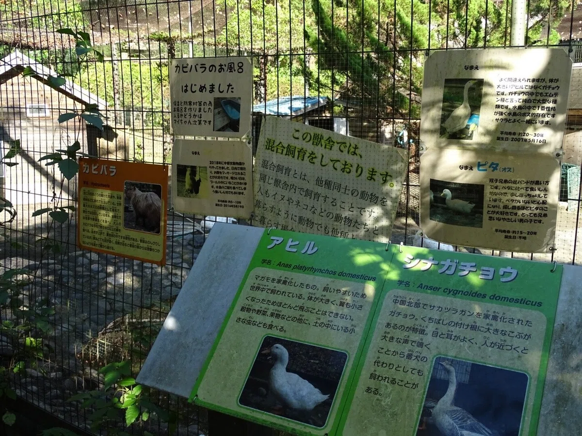 画像33