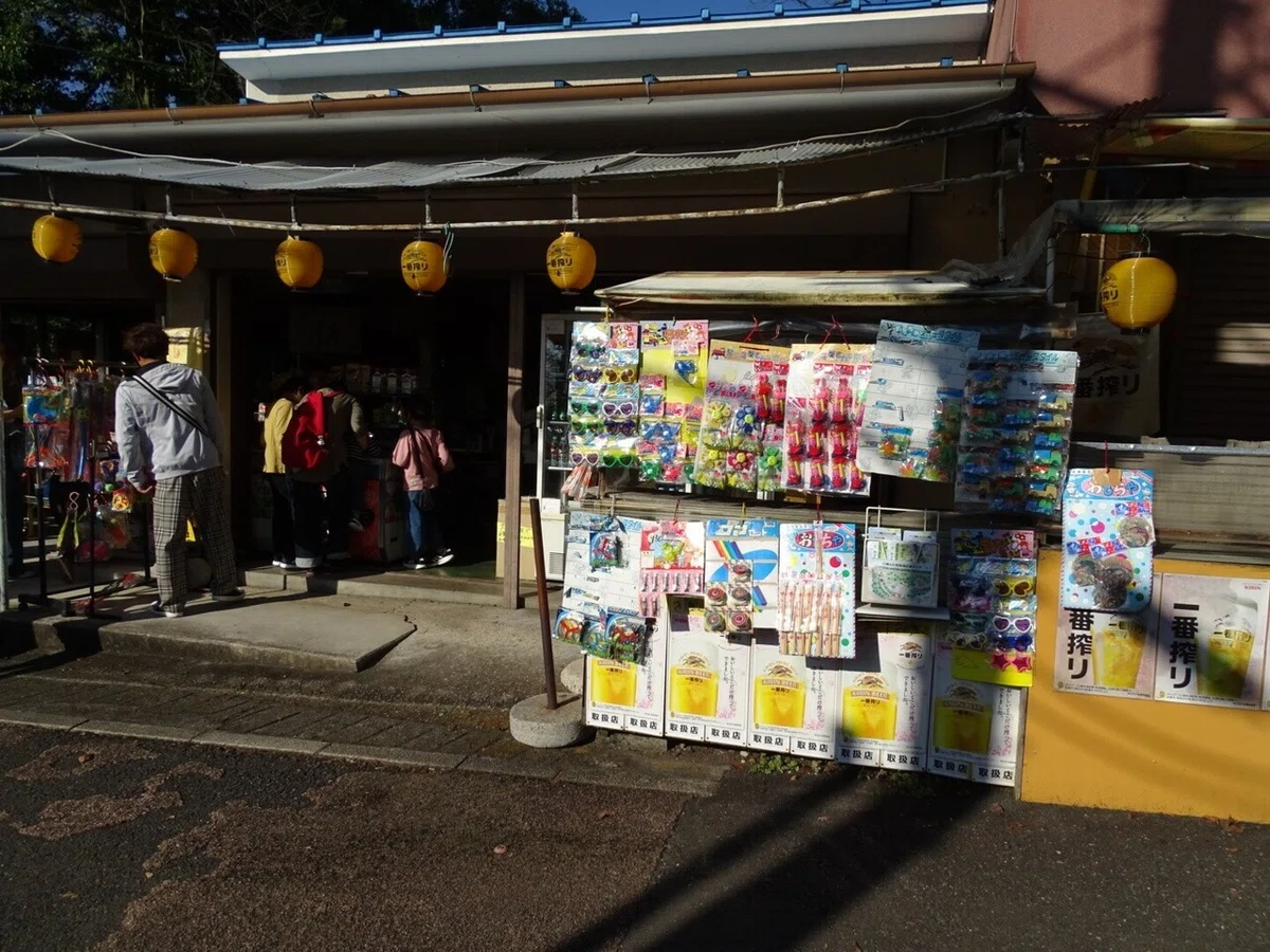 画像42