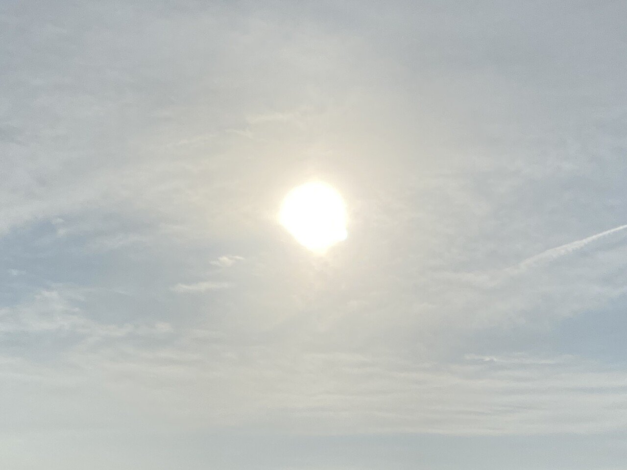 7時までに水やりに来たいけど わたしの中では7時 代 なら良しとしています 笑 だけど7 30過ぎるとお日様の雰囲気が変わり 目覚めの時間 よ っていう強い陽射しが降り注ぐ 夢見の時間にお水あげるのが 食べるは生きる おむすびと野菜と子どもキッチンの話 Note