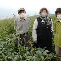 Jクラブが農業を始めることになったきっかけ スマイル山雅農業プロジェクト インタビュー Vol 0 松本山雅 渡邉はるか 株式会社松本山雅 Note