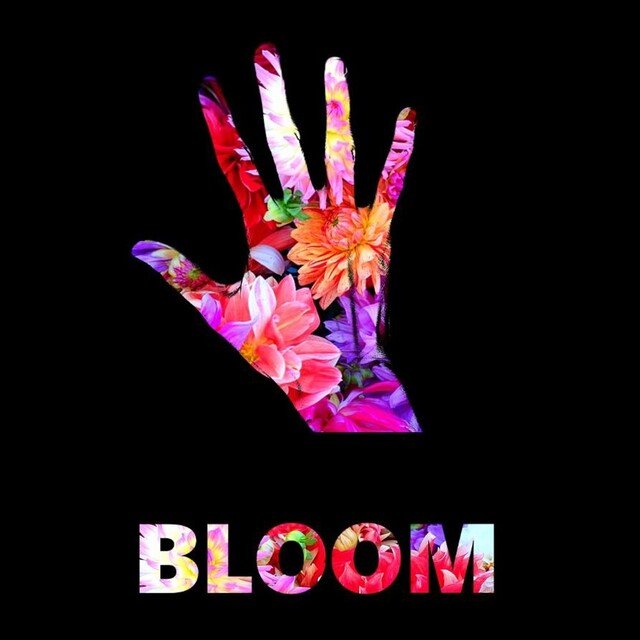 Bloom Day 7 窓の外は嵐 雷が怒り狂ったように轟いている 和木こもる Note