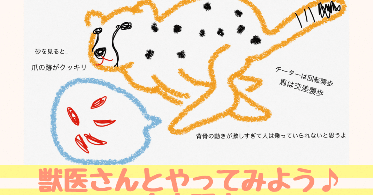 チーターの爪はなぜ出しっぱなし 獣医師ふーの 獣医さんとやってみよう自由研究 Note