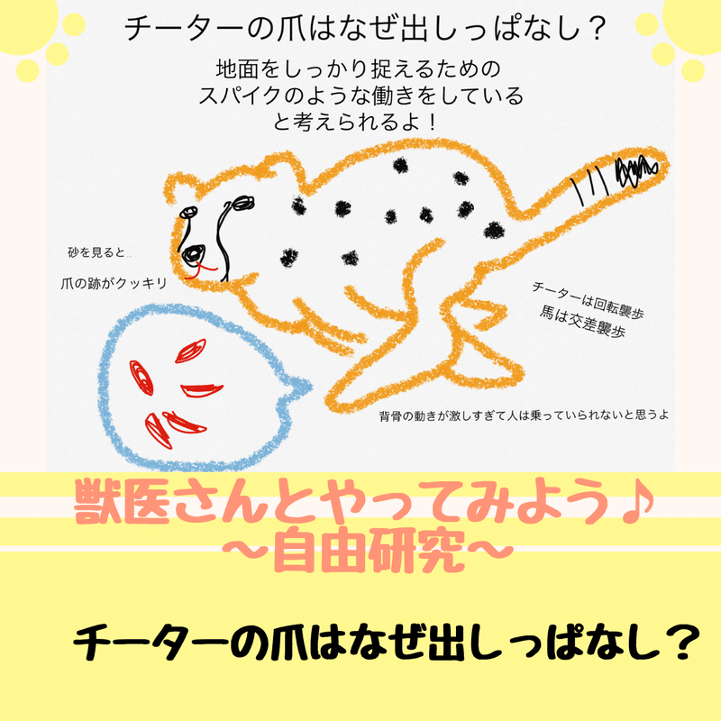 チーターの爪はなぜ出しっぱなし 獣医師ふーの 獣医さんとやってみよう自由研究 Note