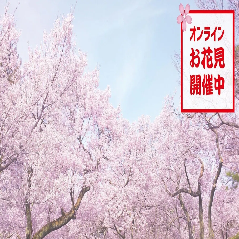 オンラインお花見 を盛り上げるバーチャル背景を無料配布 Nonpi Foodbox Note