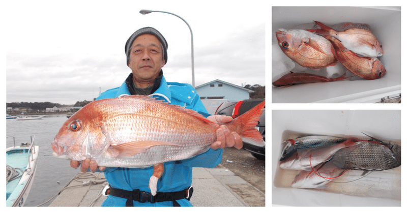 真鯛釣り 最大3 6kg トップ4枚 あまさけや丸 Note 真鯛釣り 最大3 6kg トップ4枚 あまさけや丸 Note