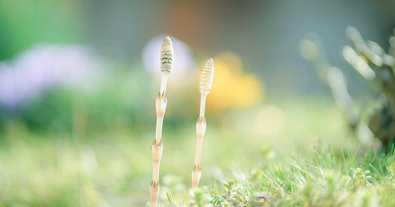 となりの芝生は 永遠に青い Hiro Note となりの芝生は 永遠に青い Hiro Note