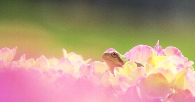 井の中の蛙大海を知らず ということわざは ヘンだ えけ Note 井の中の蛙大海を知らず ということわざは ヘンだ えけ Note