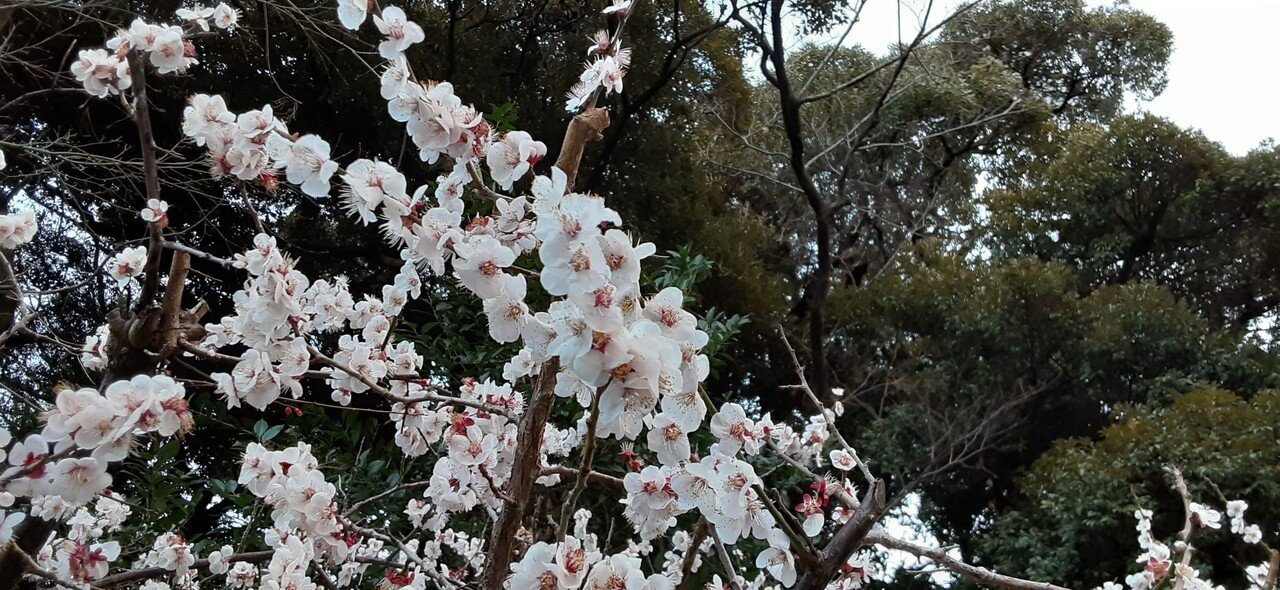 自分の意識を自分への愛に変える 意識が変わると周りも変わる ヨッシー Note