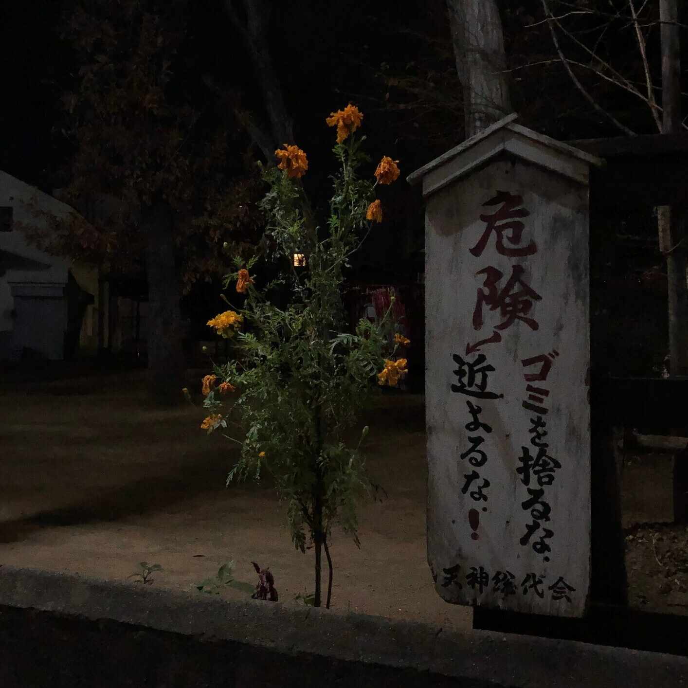 ウーバーイーツ月収40万円のウソ・ホント｜松田龍樹 / Tatsuki Matsuda 