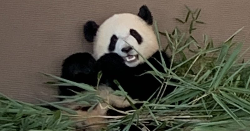 旭山動物園 の新着タグ記事一覧 Note つくる つながる とどける
