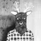 たけ|TREEHEADS