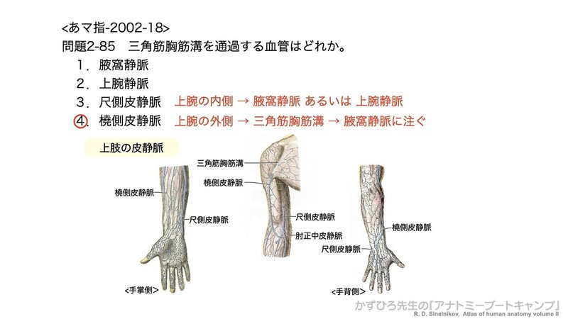 今日のプチ解剖 三角筋胸筋溝を通過する血管は 黒澤一弘 Note 今日のプチ解剖 三角筋胸筋溝を通過する血管は 黒澤一弘 Note