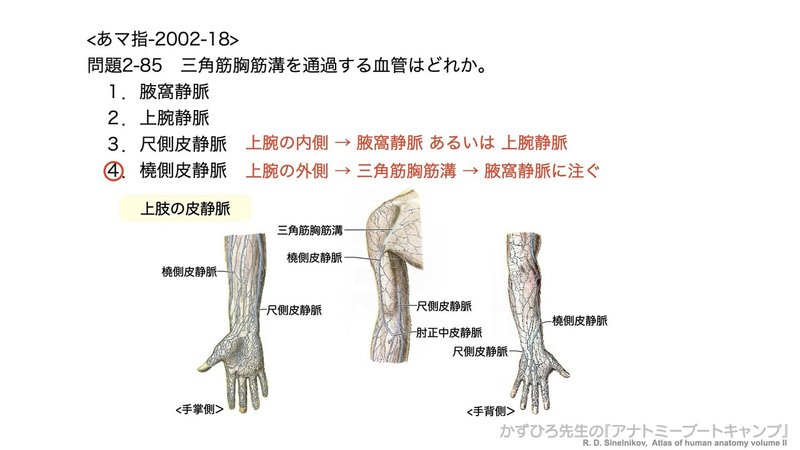 今日のプチ解剖 三角筋胸筋溝を通過する血管は 黒澤一弘 Note