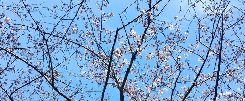 奨学金で借金地獄になるくらいなら 社会人やってから大学行くのが一番楽しいよって話 ちーぼー Note