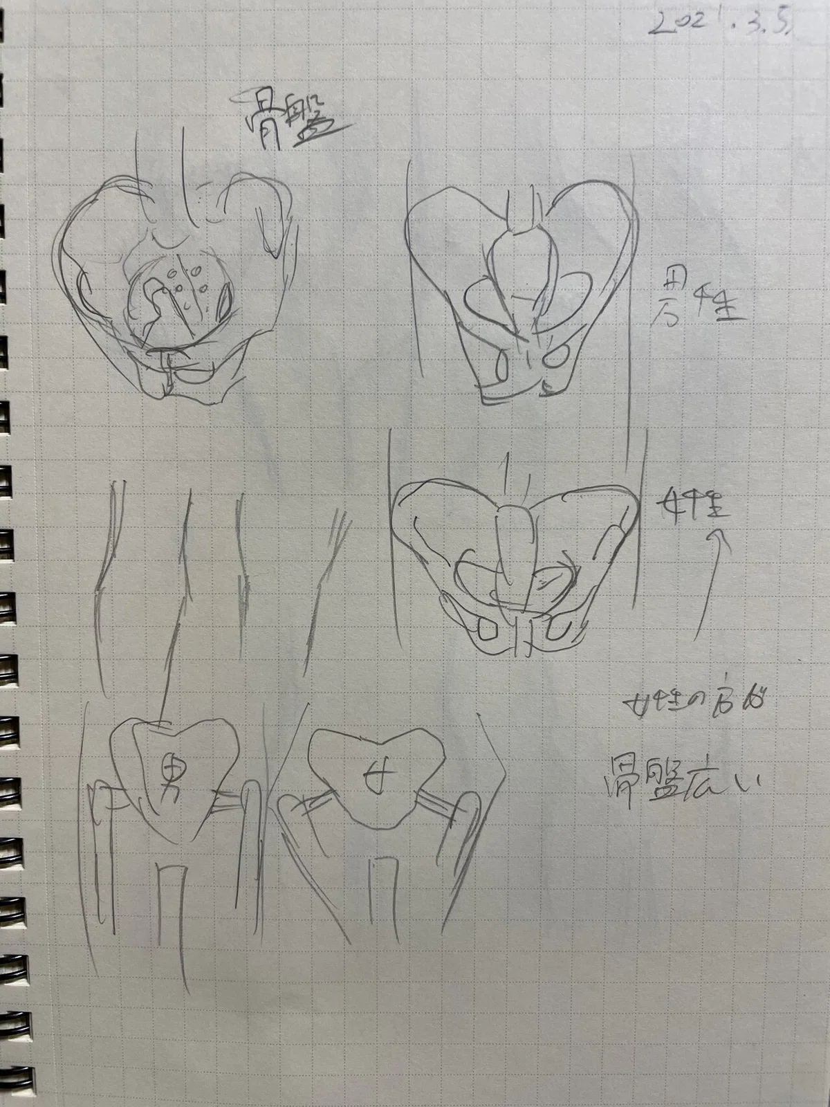 画像14