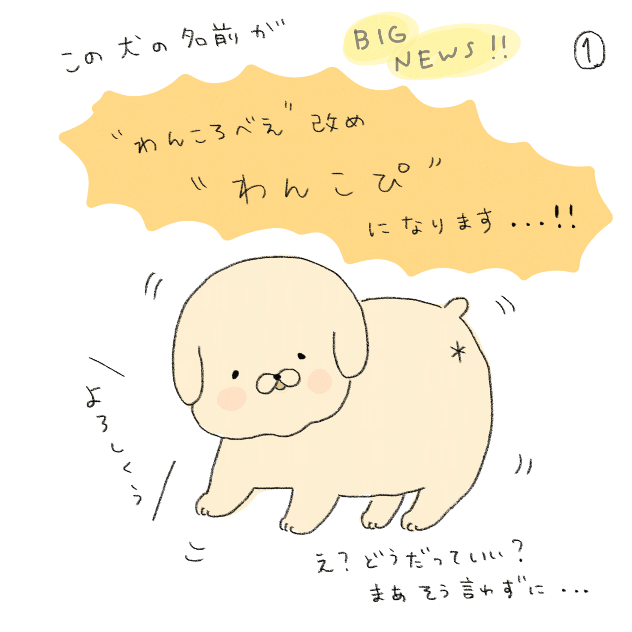 重要なおしらせ アイコンの犬の名前が変わります もしこぴ Note