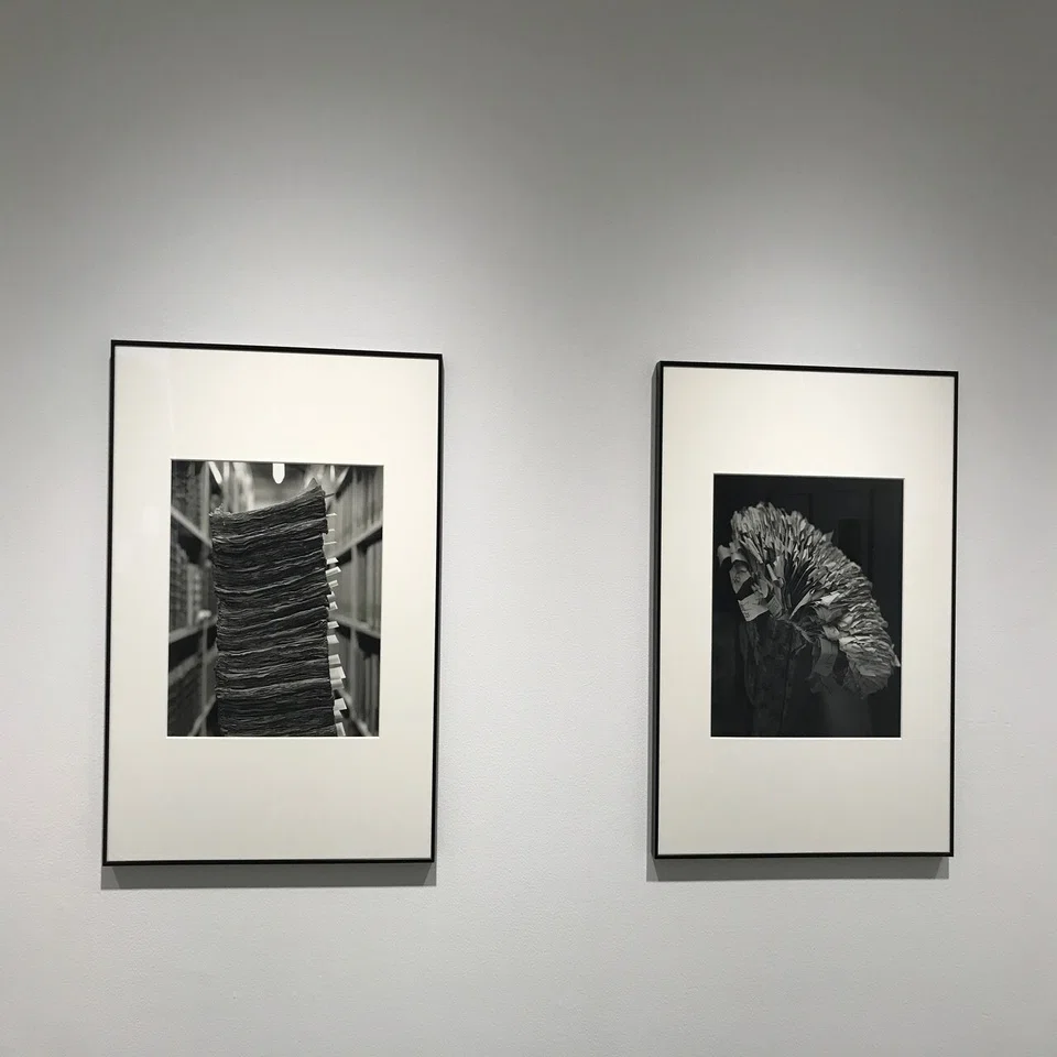 潮田登久子 写真集「ビブリオテカ - 本の景色」2017年 初版 ウシマオダ 潮田登久子 写真集「ビブリオテカ - 本の景色」2017年 初版 ウシマオダ