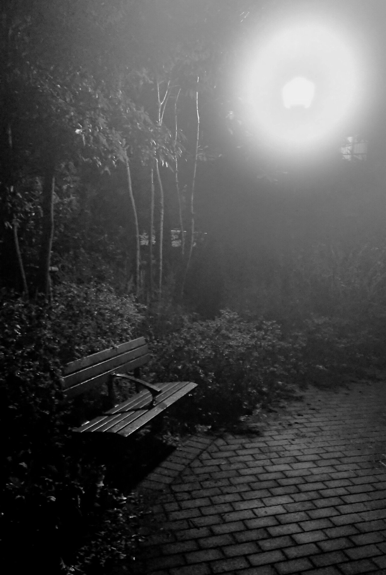 曇りメガネ 1 夜灯り Tecorucciani Note