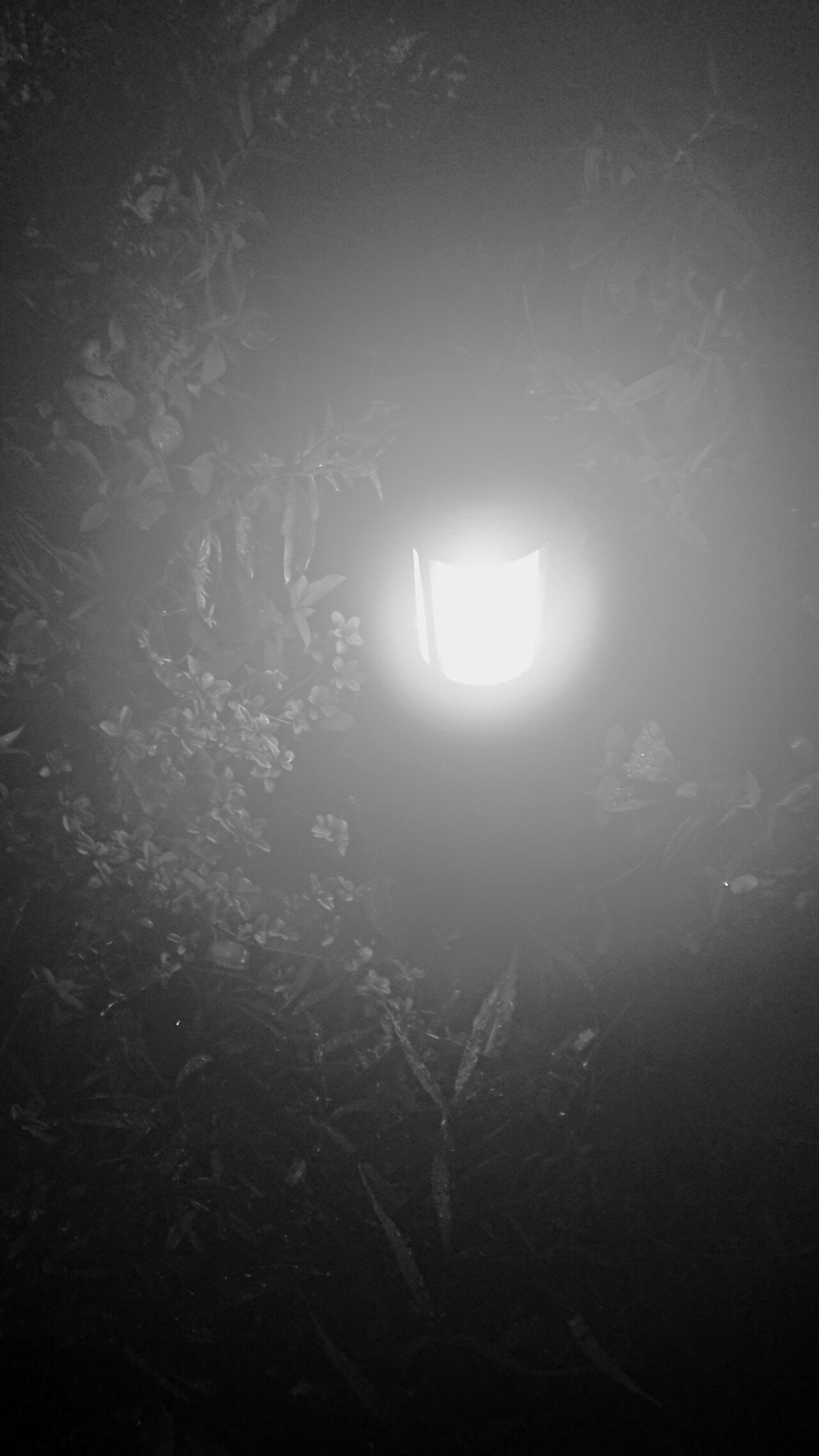 曇りメガネ 1 夜灯り Tecorucciani Note